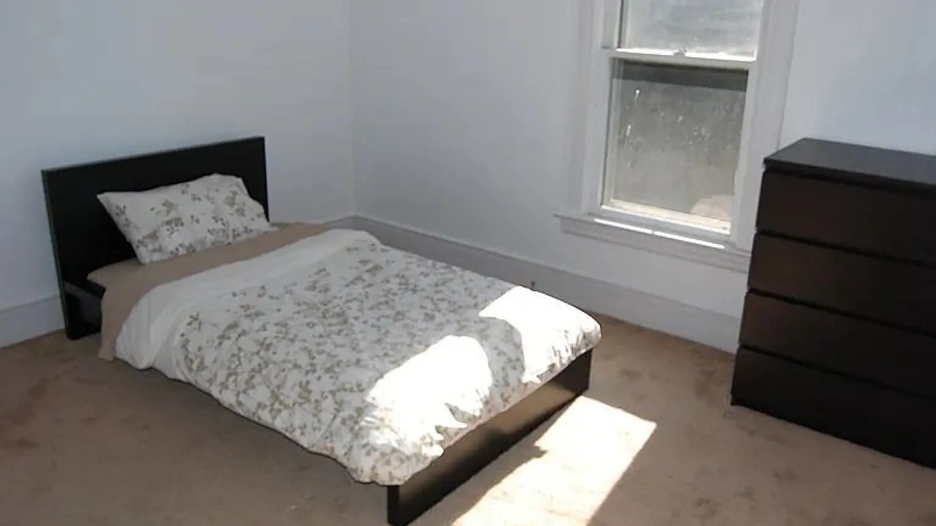 Property at 312 Allen Street, Syracuse, NY 13210 4