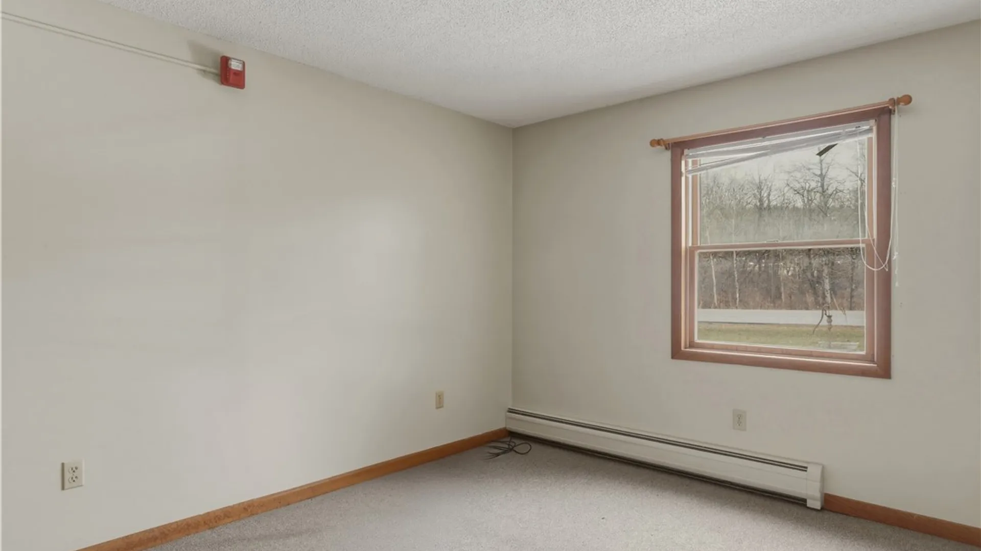 Property at 4691 State Route 79, Hector, NY 14818 16