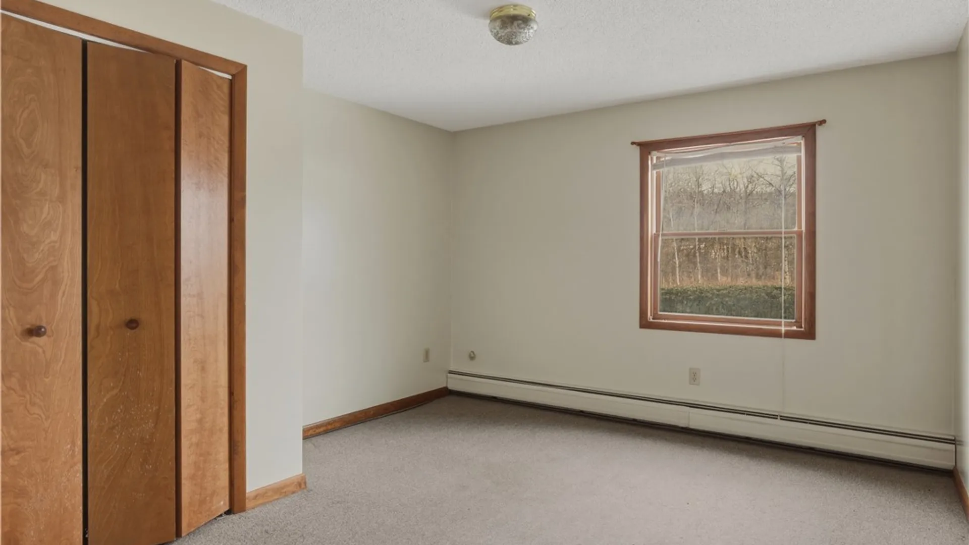 Property at 4691 State Route 79, Hector, NY 14818 17