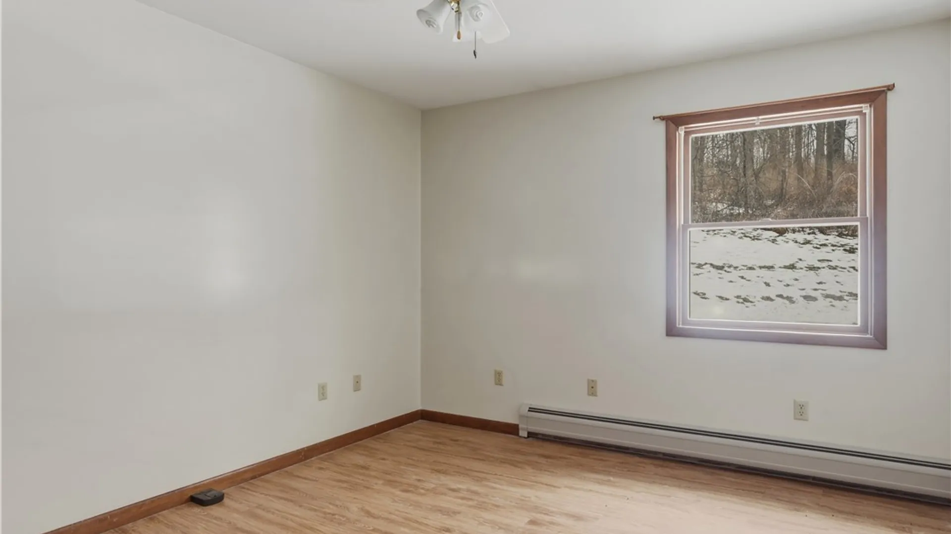 Property at 4691 State Route 79, Hector, NY 14818 19