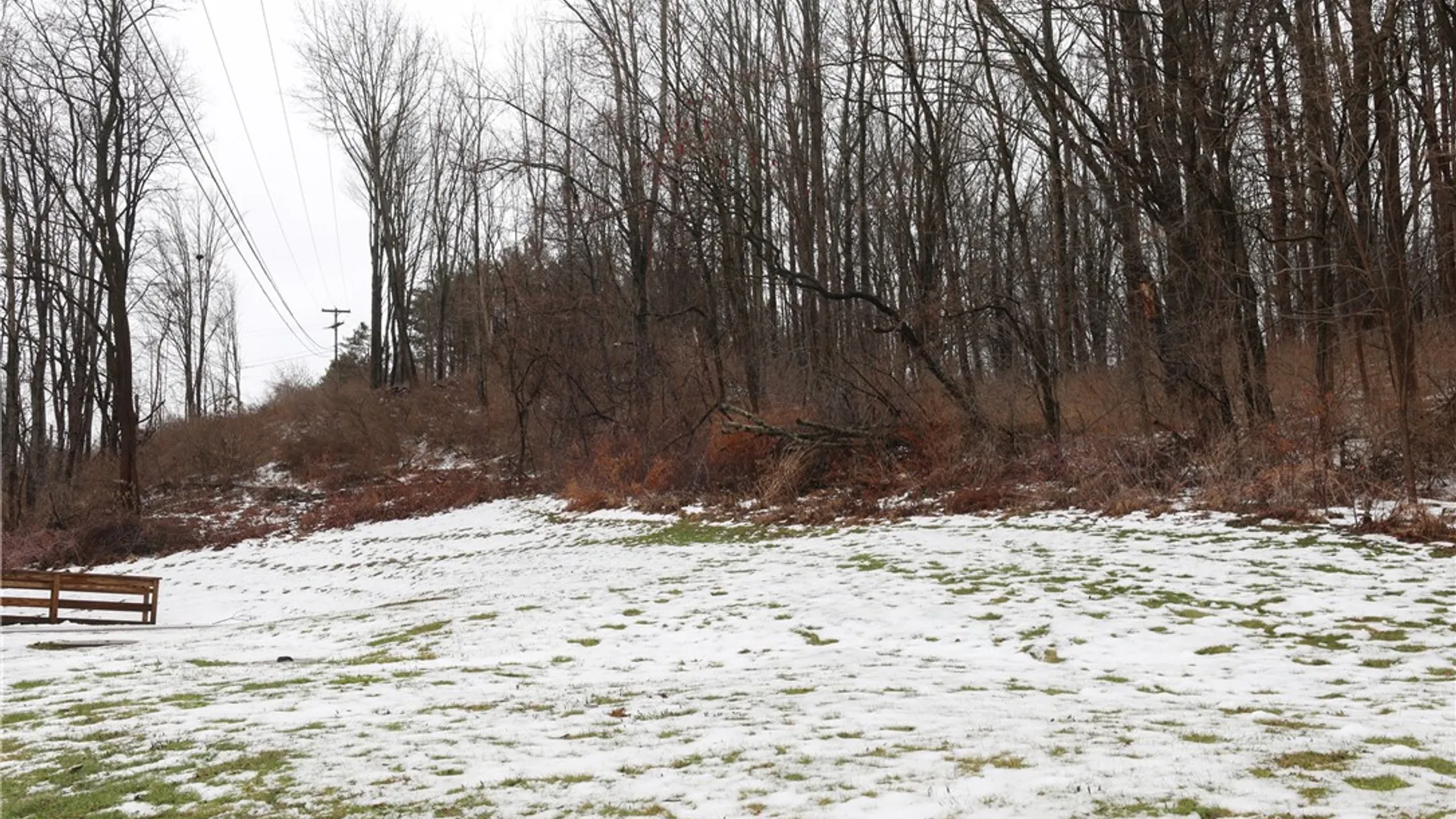 Property at 4691 State Route 79, Hector, NY 14818 38