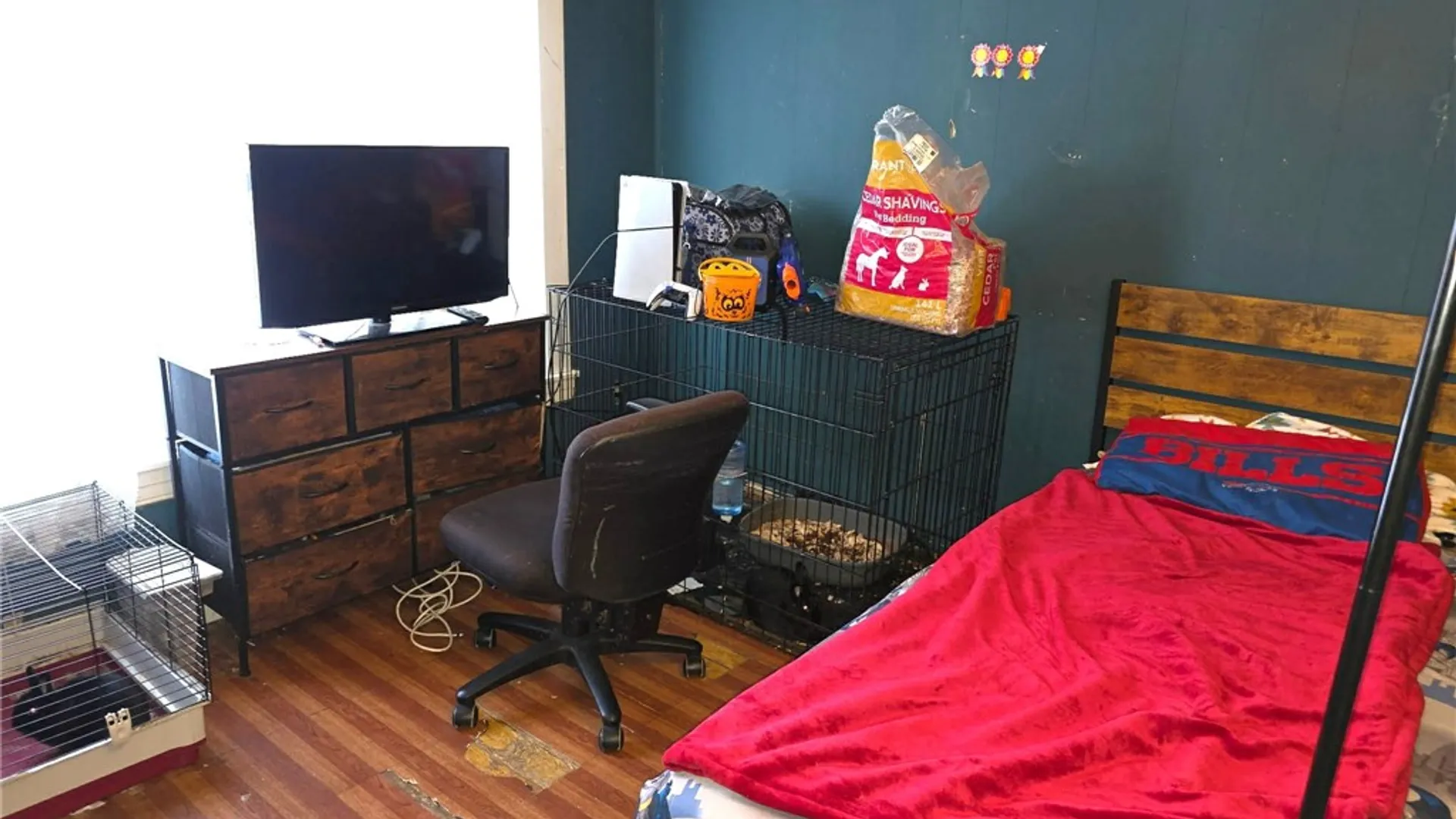 Property at 6393 Townline Road, Williamson, NY 14589 7