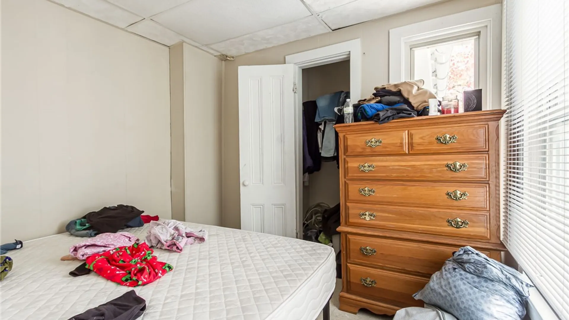 Property at 128 Cameron St, Rochester, NY 14606 13