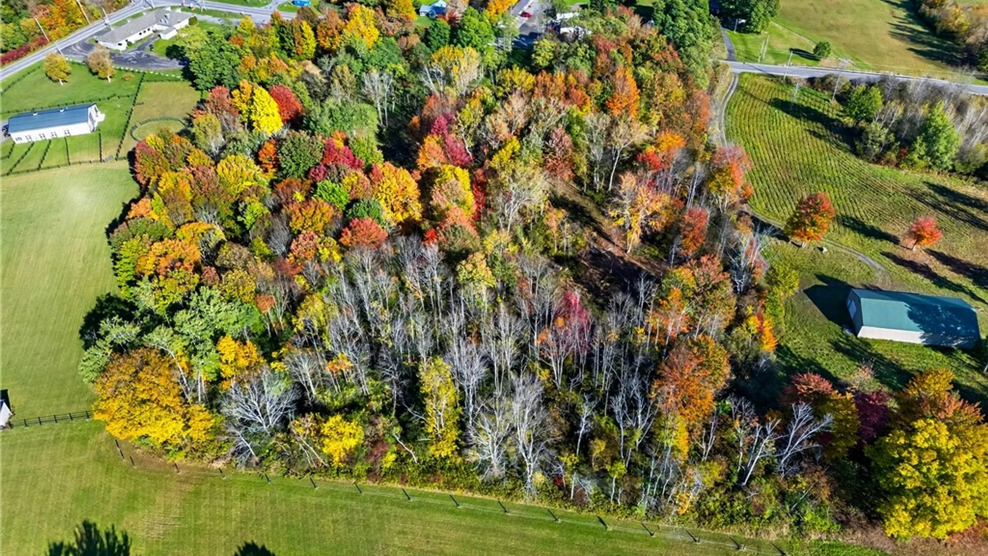 Property at 8439 State Route 3, Sandy Creek, NY 13142 12