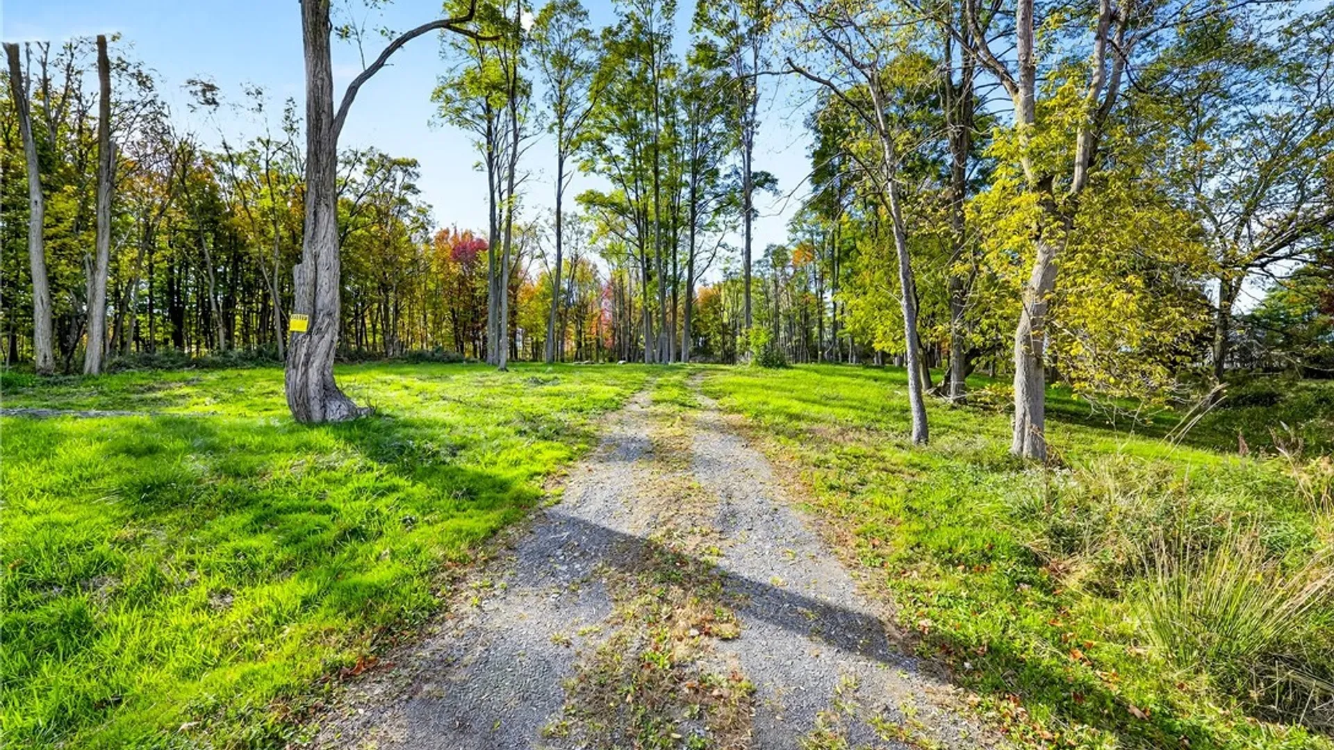 Property at 8439 State Route 3, Sandy Creek, NY 13142 3