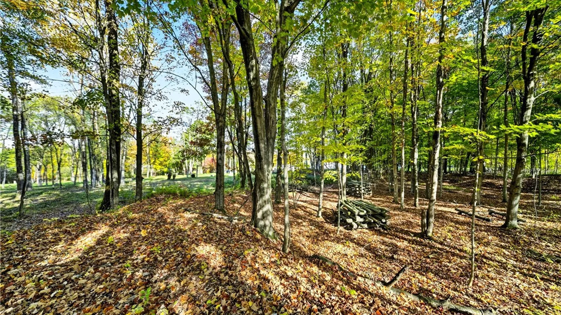 Property at 8439 State Route 3, Sandy Creek, NY 13142 5