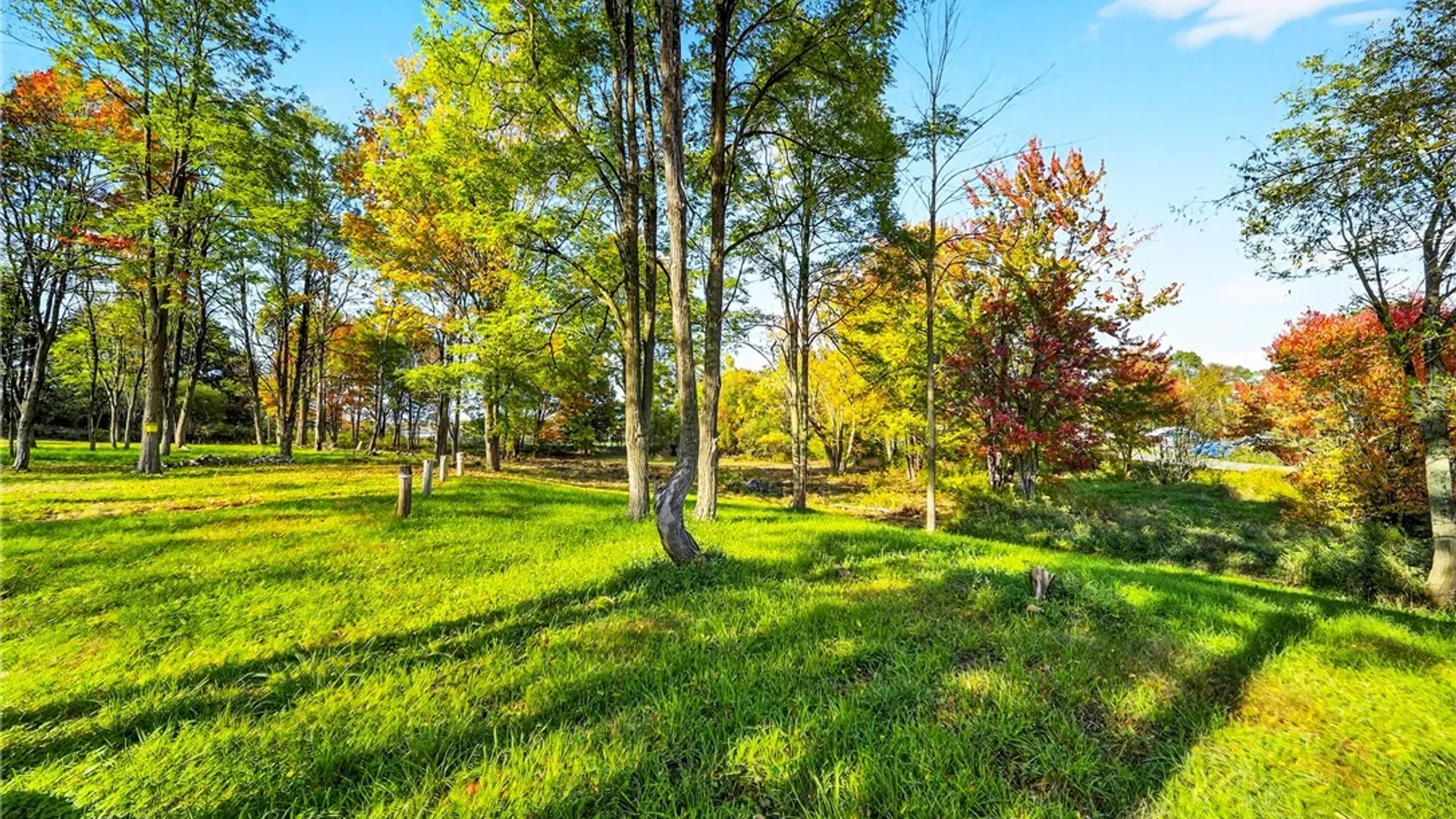 Property at 8439 State Route 3, Sandy Creek, NY 13142 6