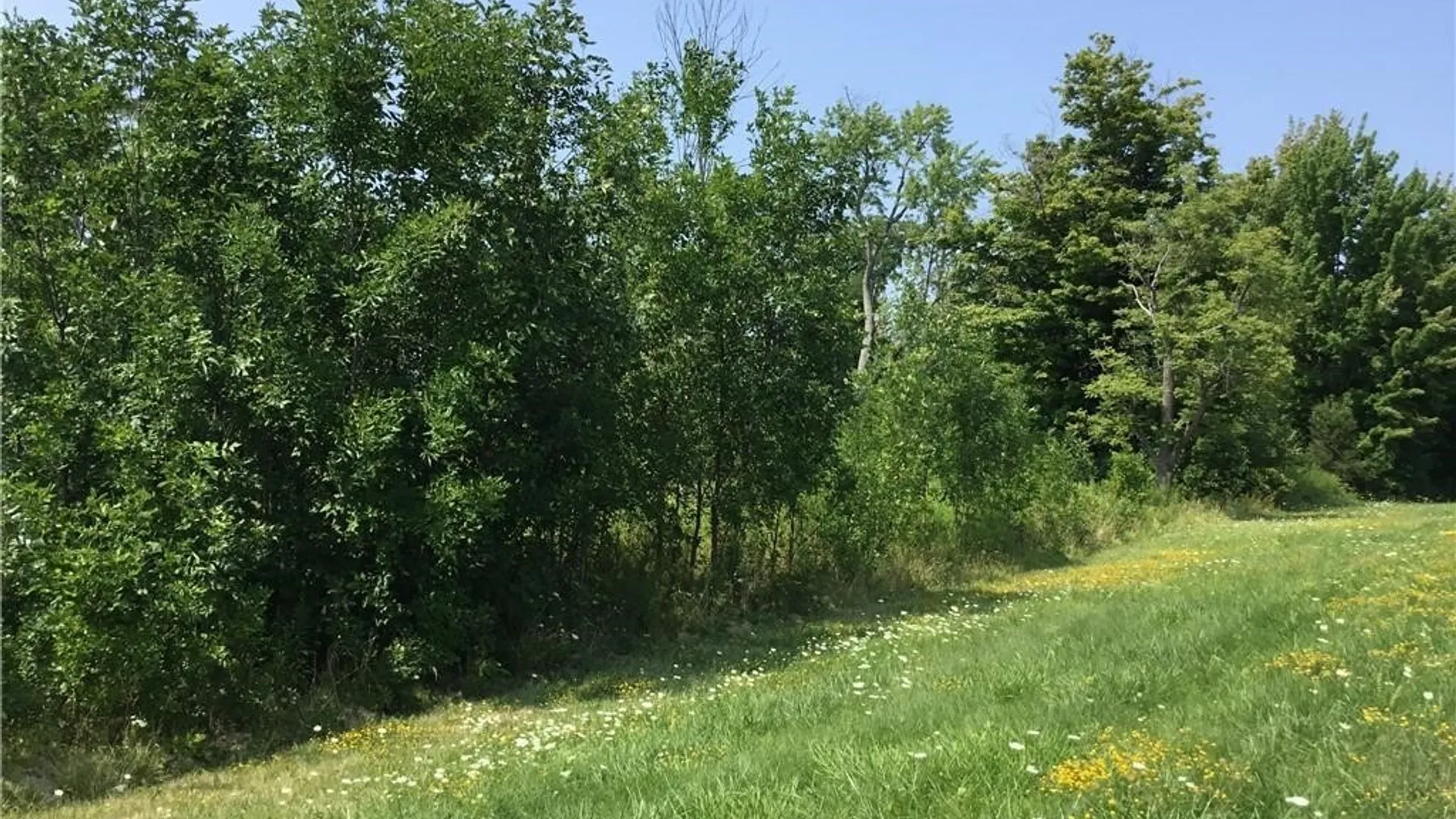 Property at 8996 Erie Road, Evans, NY 14006 2