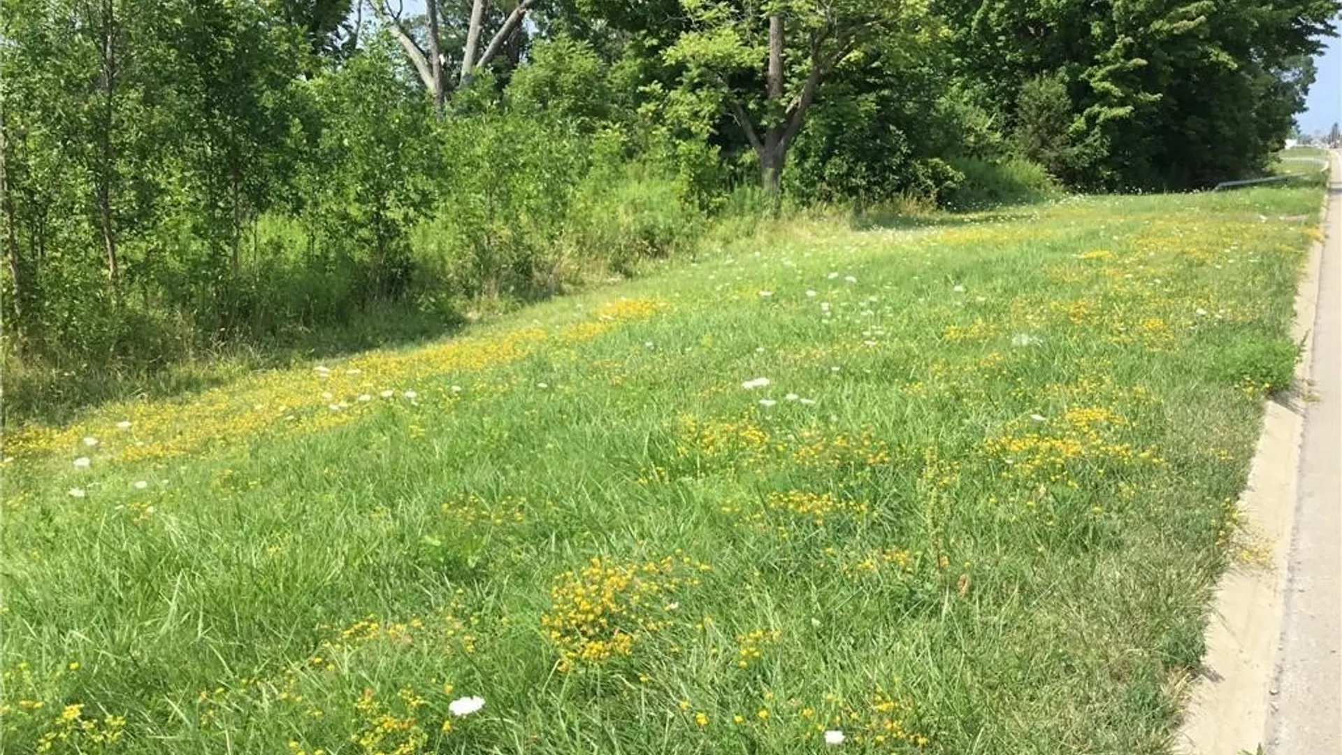 Property at 8996 Erie Road, Evans, NY 14006 3