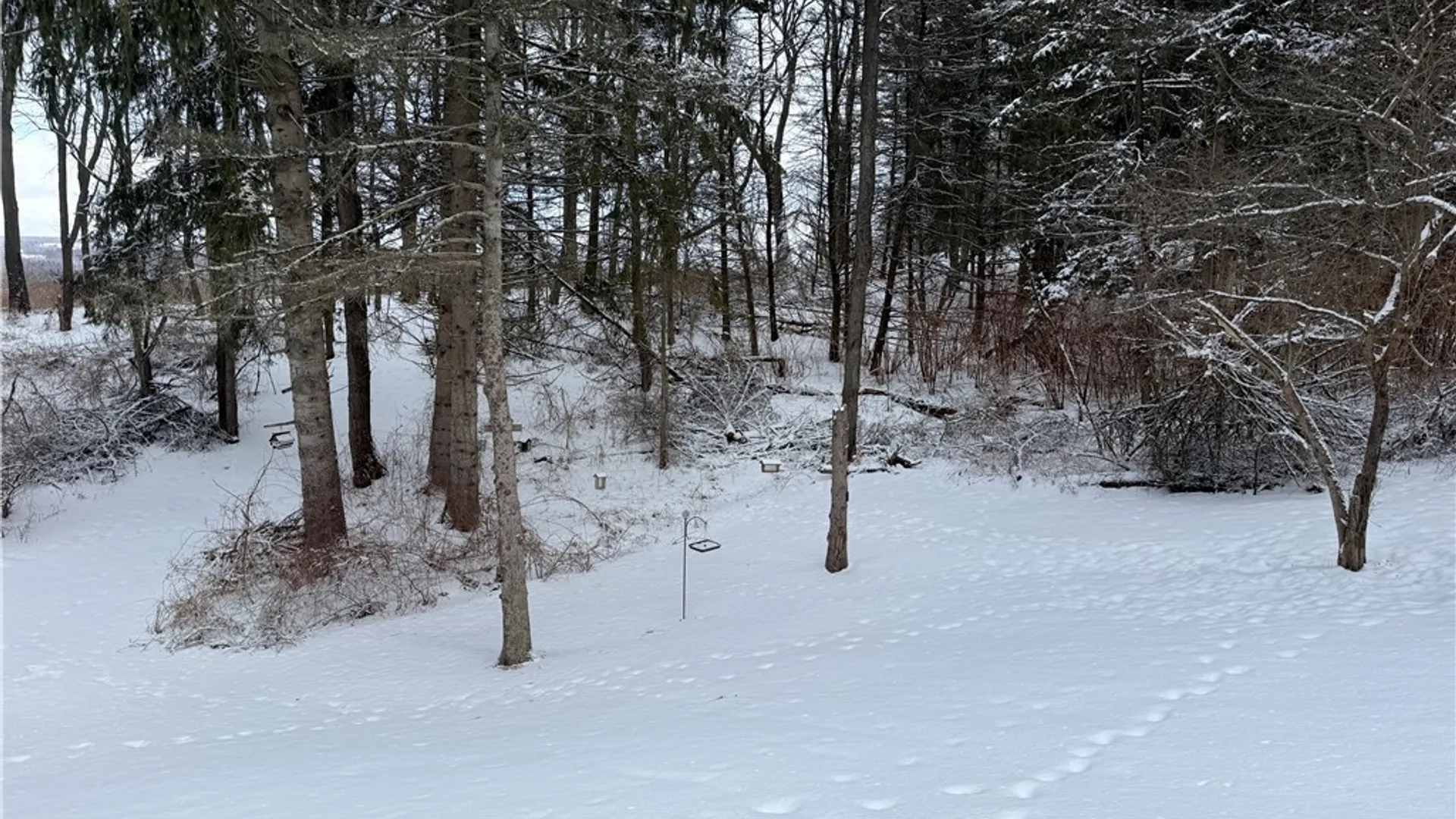 Property at 211 Sweetland Road, Virgil, NY 13045 27