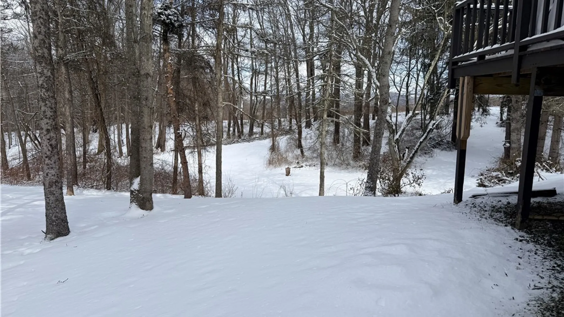 Property at 211 Sweetland Road, Virgil, NY 13045 33