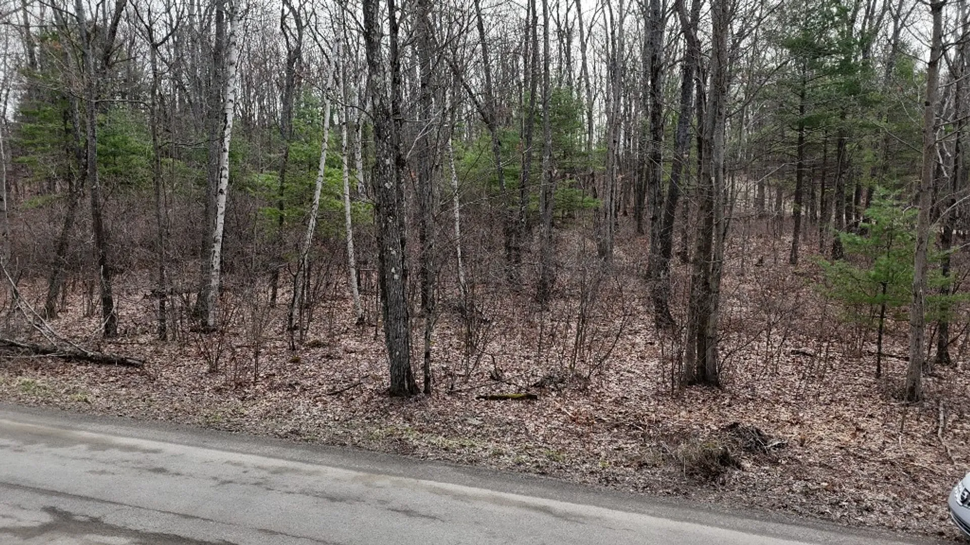 Property at 0 Welch Road, Erwin, NY 14830 5