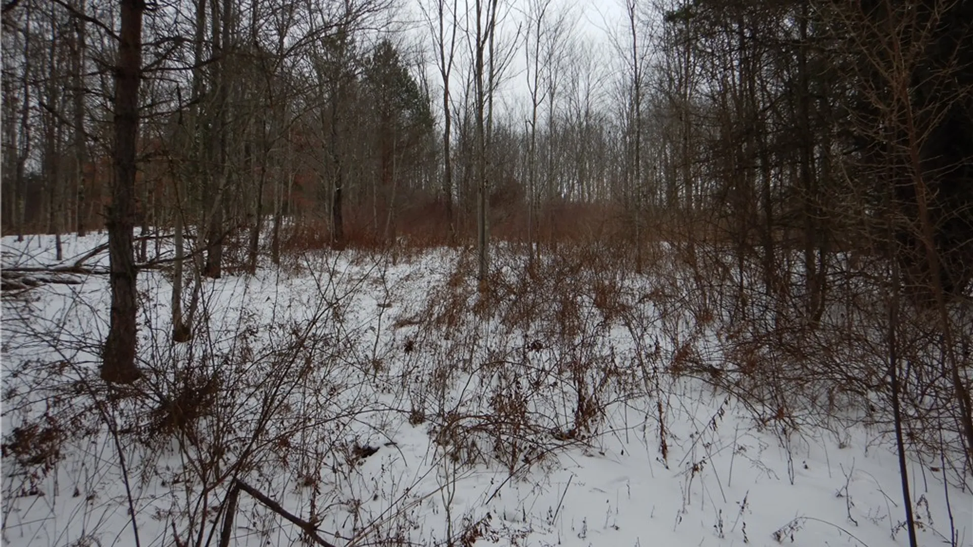 Property at Newark Valley - Maine Rd, Newark Valley, NY 13811 13
