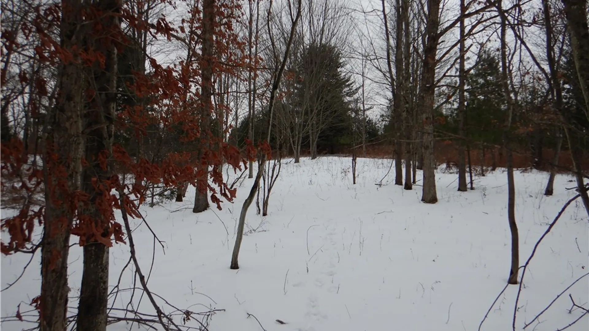 Property at Newark Valley - Maine Rd, Newark Valley, NY 13811 15