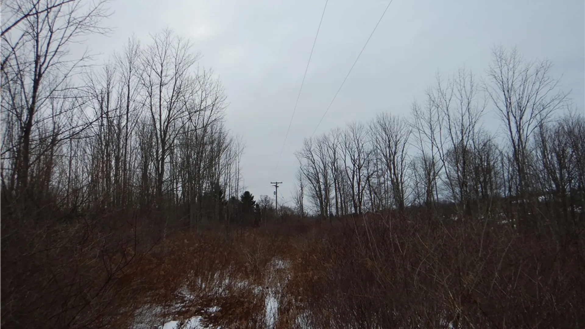 Property at Newark Valley - Maine Rd, Newark Valley, NY 13811 17