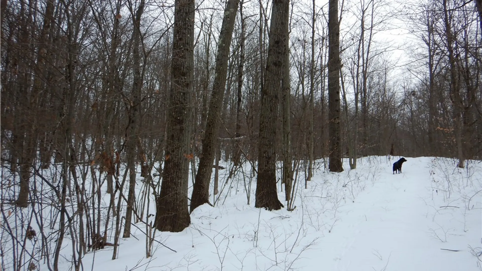 Property at Newark Valley - Maine Rd, Newark Valley, NY 13811 18