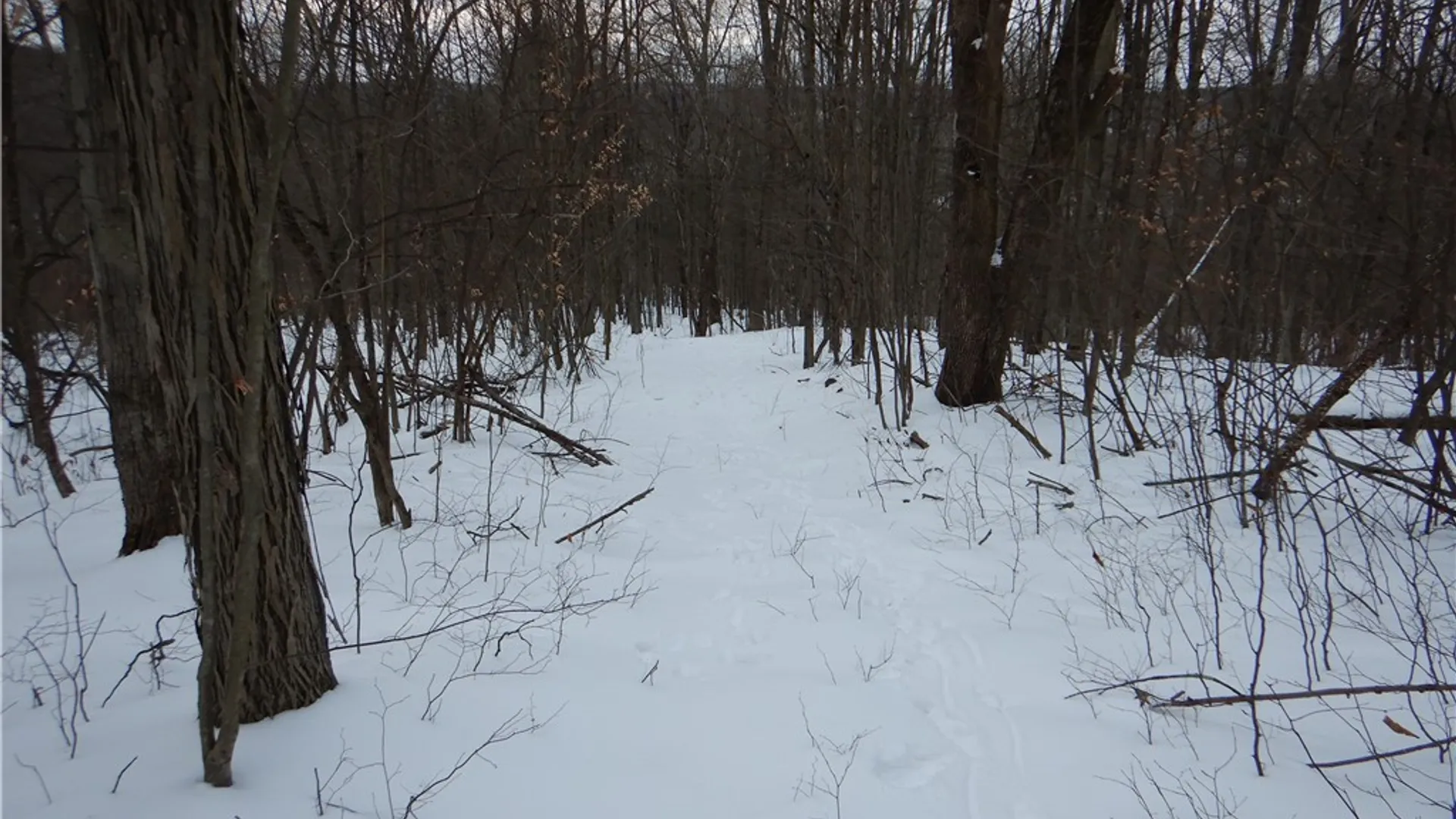 Property at Newark Valley - Maine Rd, Newark Valley, NY 13811 23