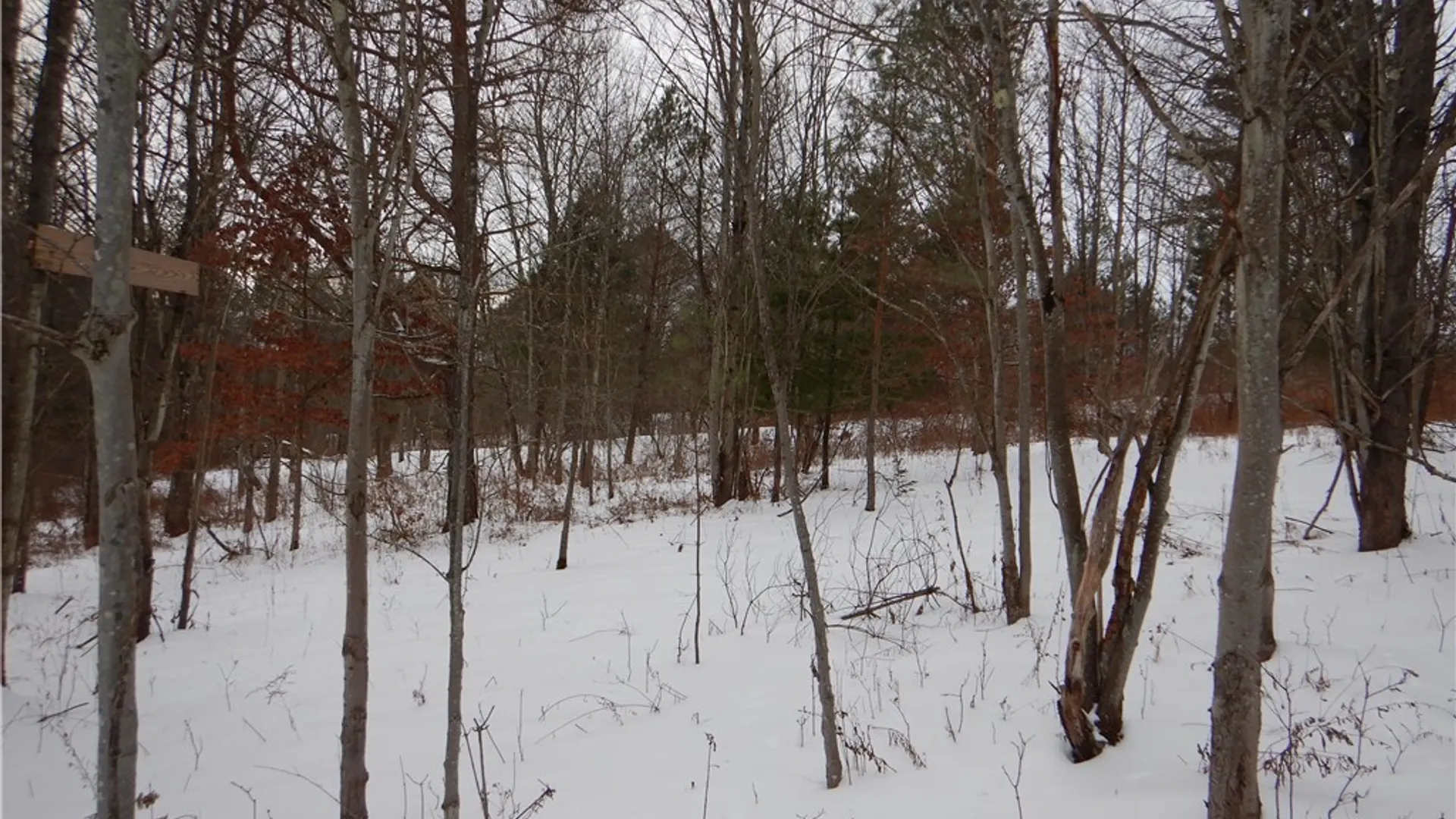 Property at Newark Valley - Maine Rd, Newark Valley, NY 13811 25