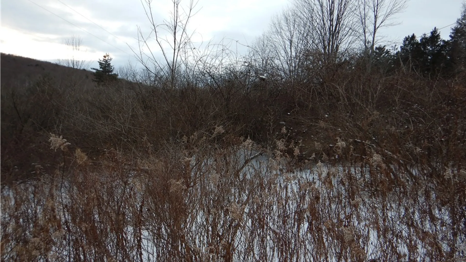 Property at Newark Valley - Maine Rd, Newark Valley, NY 13811 31