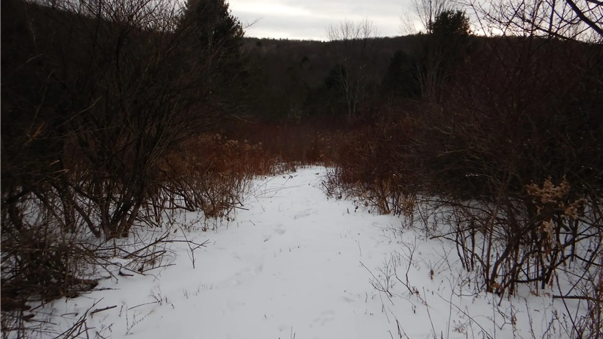 Property at Newark Valley - Maine Rd, Newark Valley, NY 13811 5