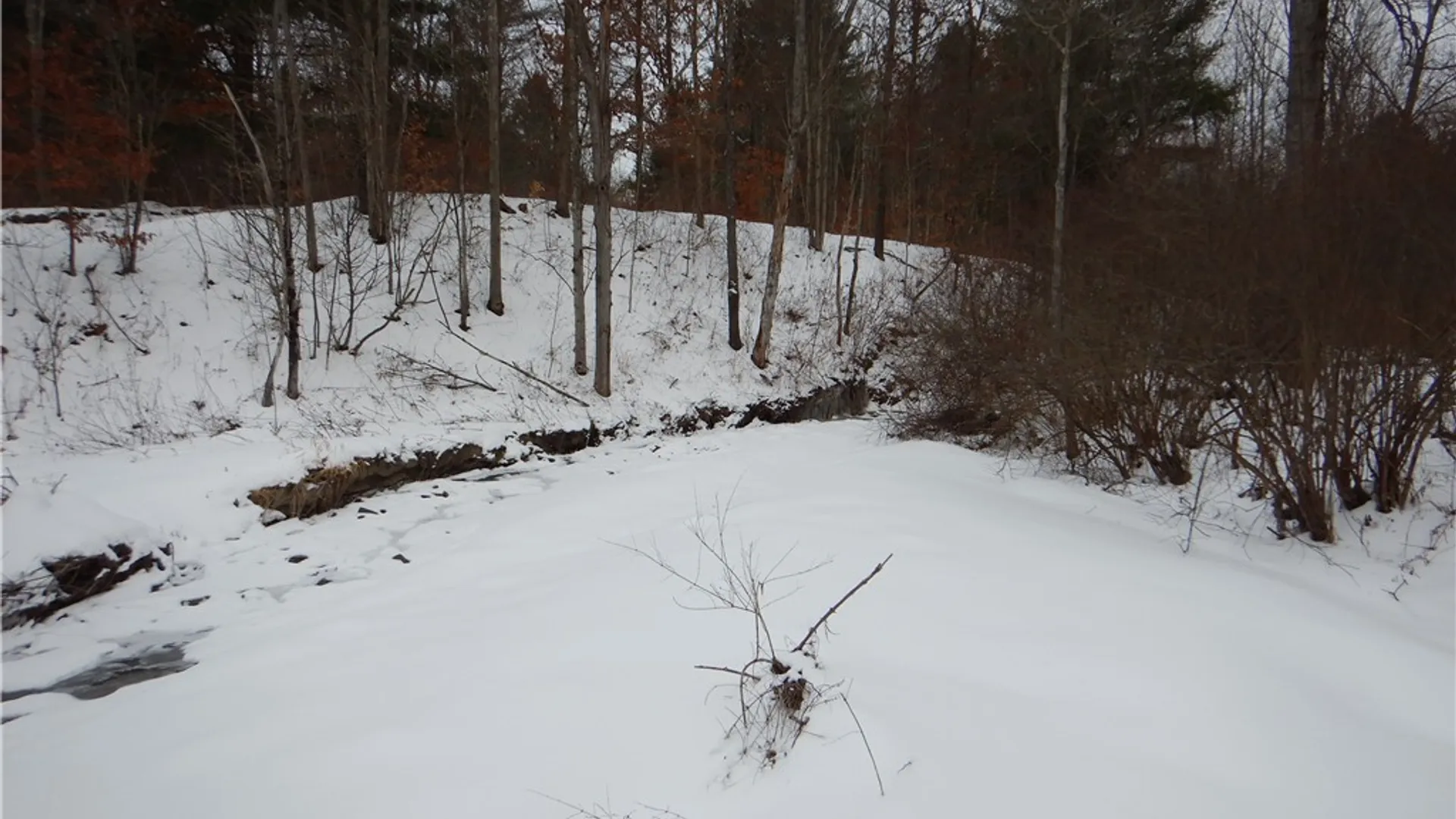 Property at Newark Valley - Maine Rd, Newark Valley, NY 13811 9