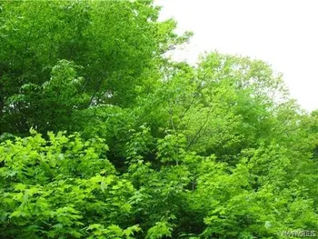 VL Dublin Road, Mansfield, NY 14779