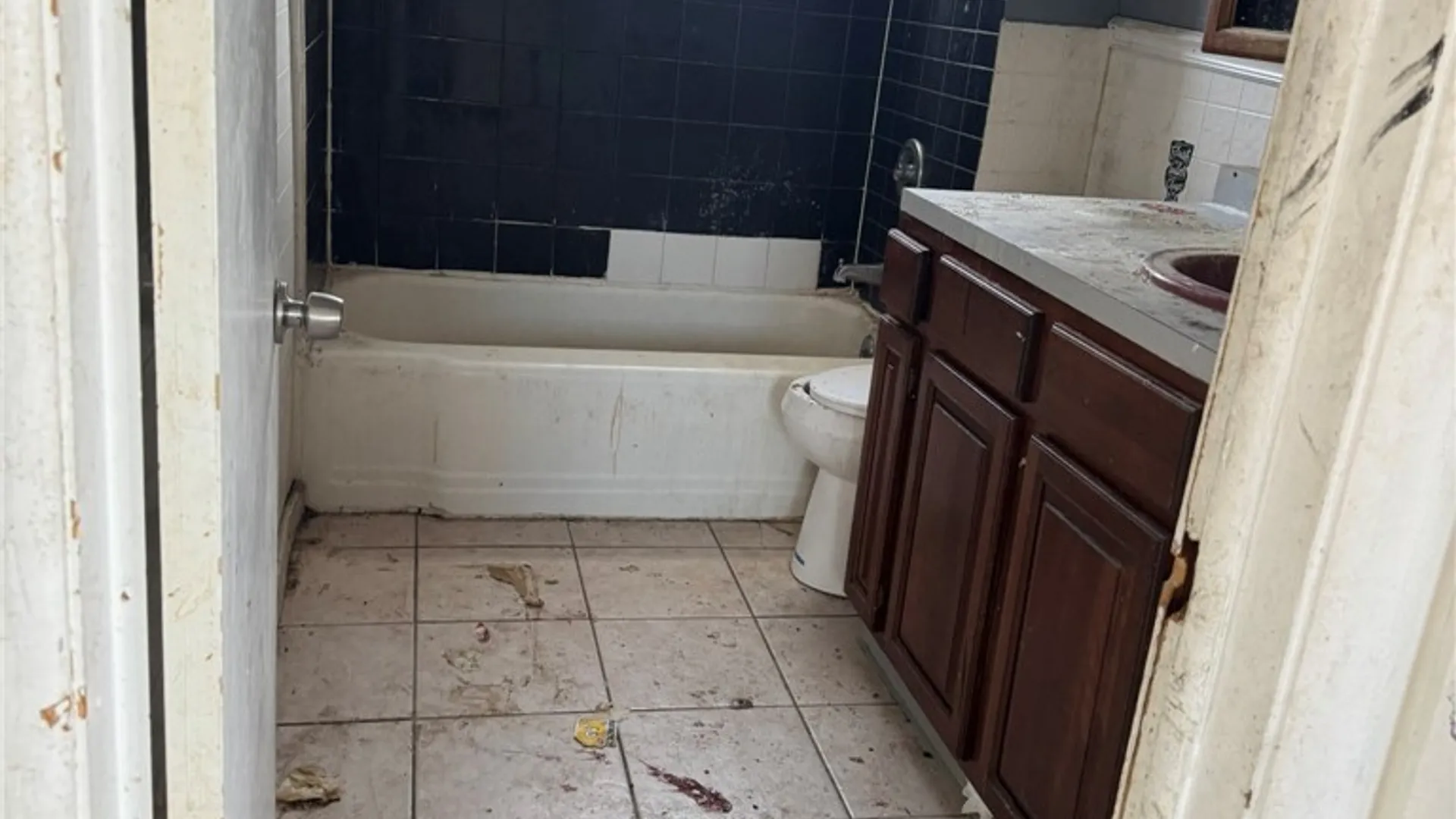 Property at 64 Wescott Street, Buffalo, NY 14210 22