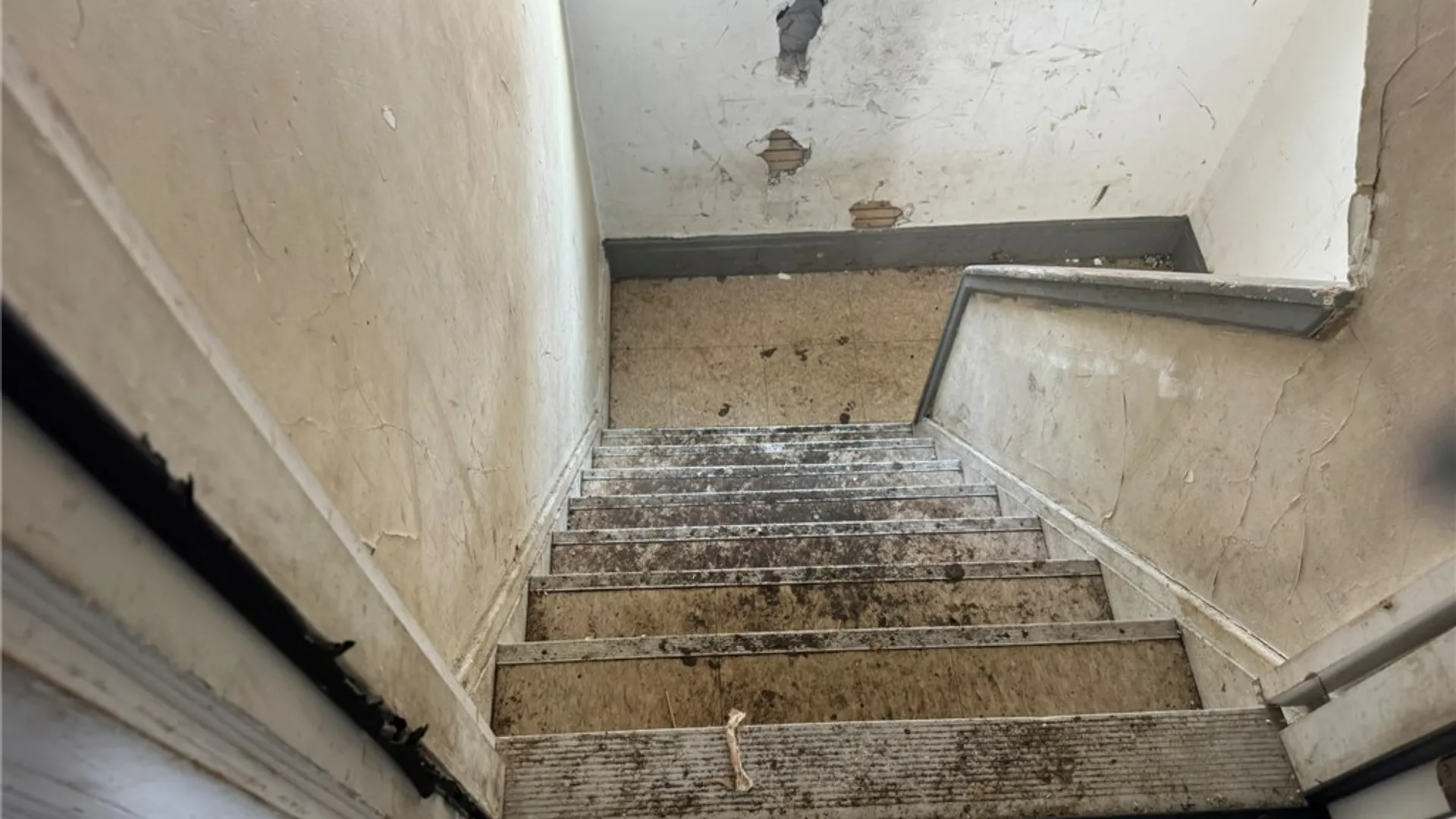 Property at 64 Wescott Street, Buffalo, NY 14210 27