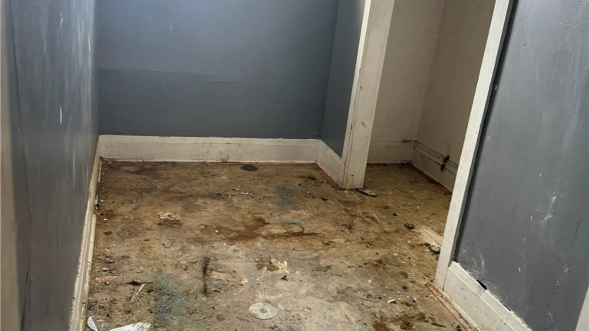 Property at 64 Wescott Street, Buffalo, NY 14210 8