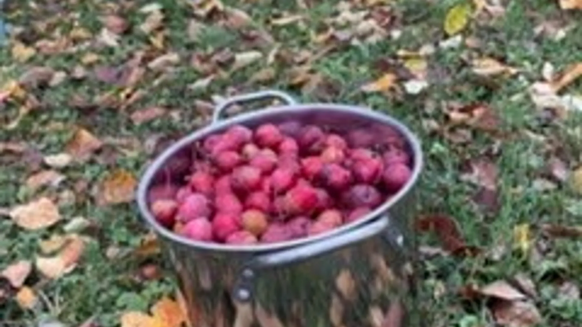 Property at 3757 Hamden Hill Road, Hamden, NY 13782 24