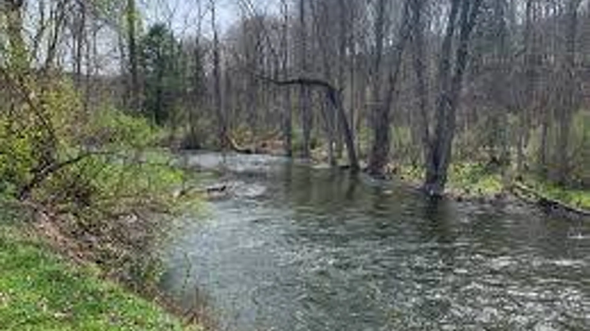 Property at 578 Greenough Road, Cooperstown, NY 13326 42