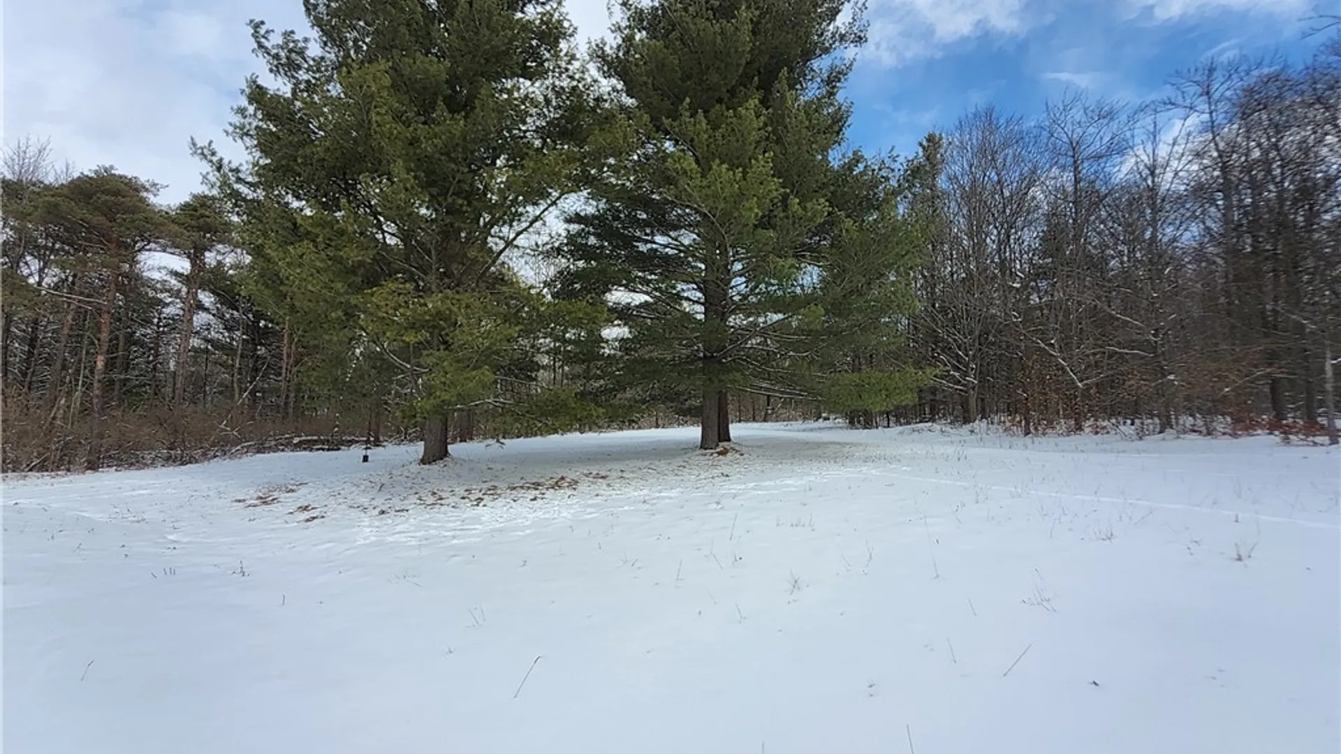 Property at 7779 Hamilton Road, Avoca, NY 14809 30