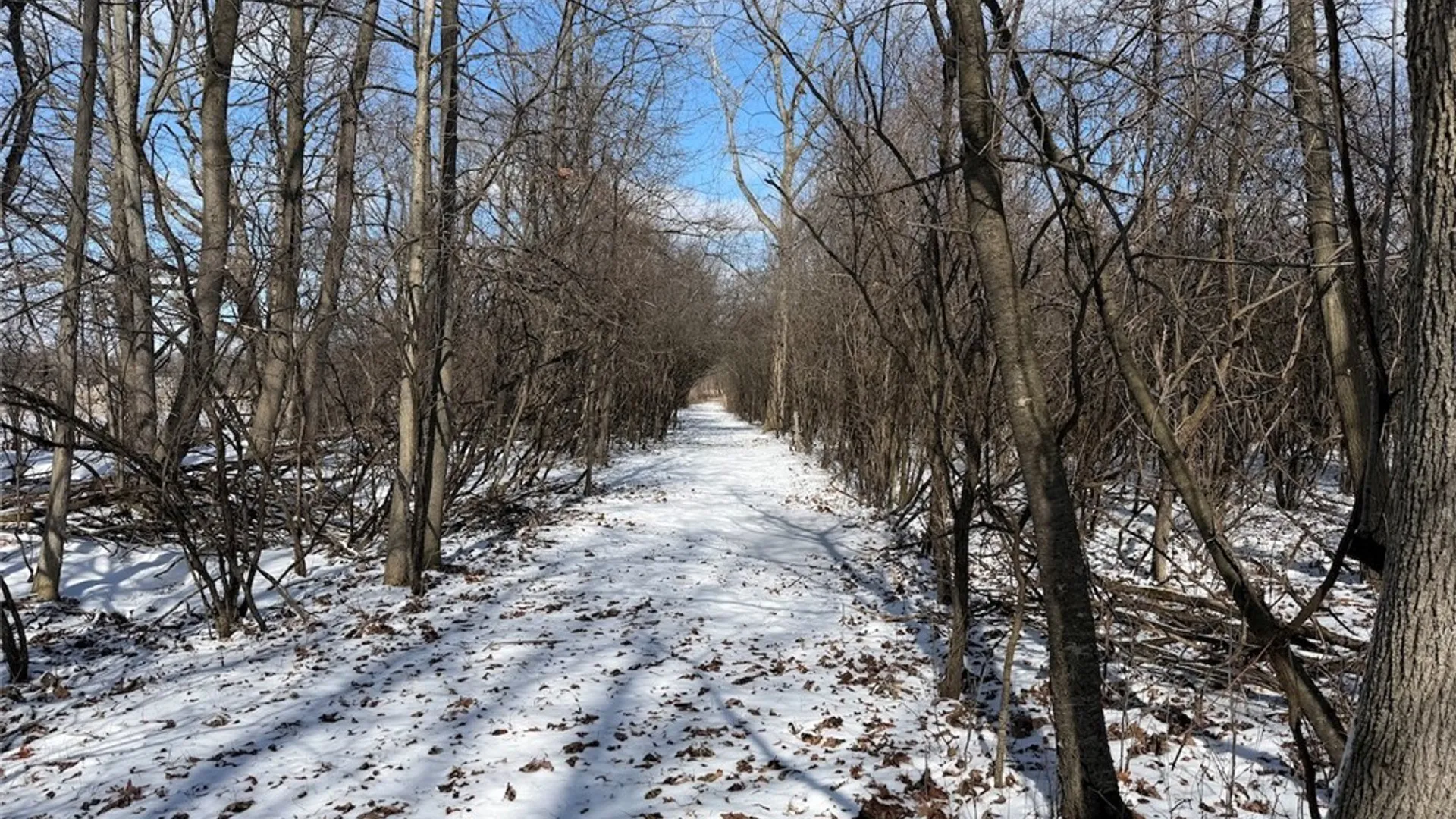 Property at State Route 14, Torrey, NY 14527 32