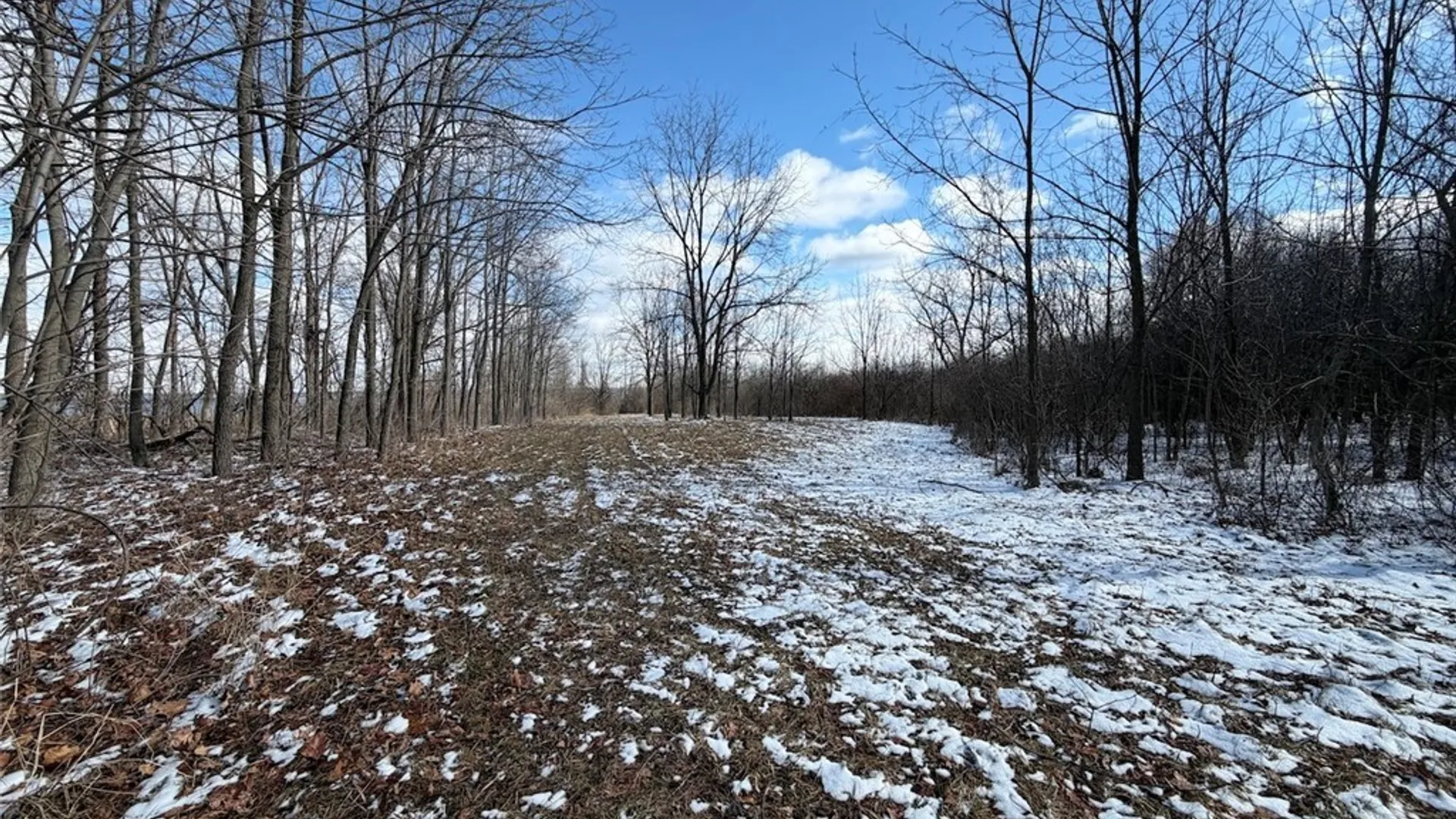 Property at State Route 14, Torrey, NY 14527 33