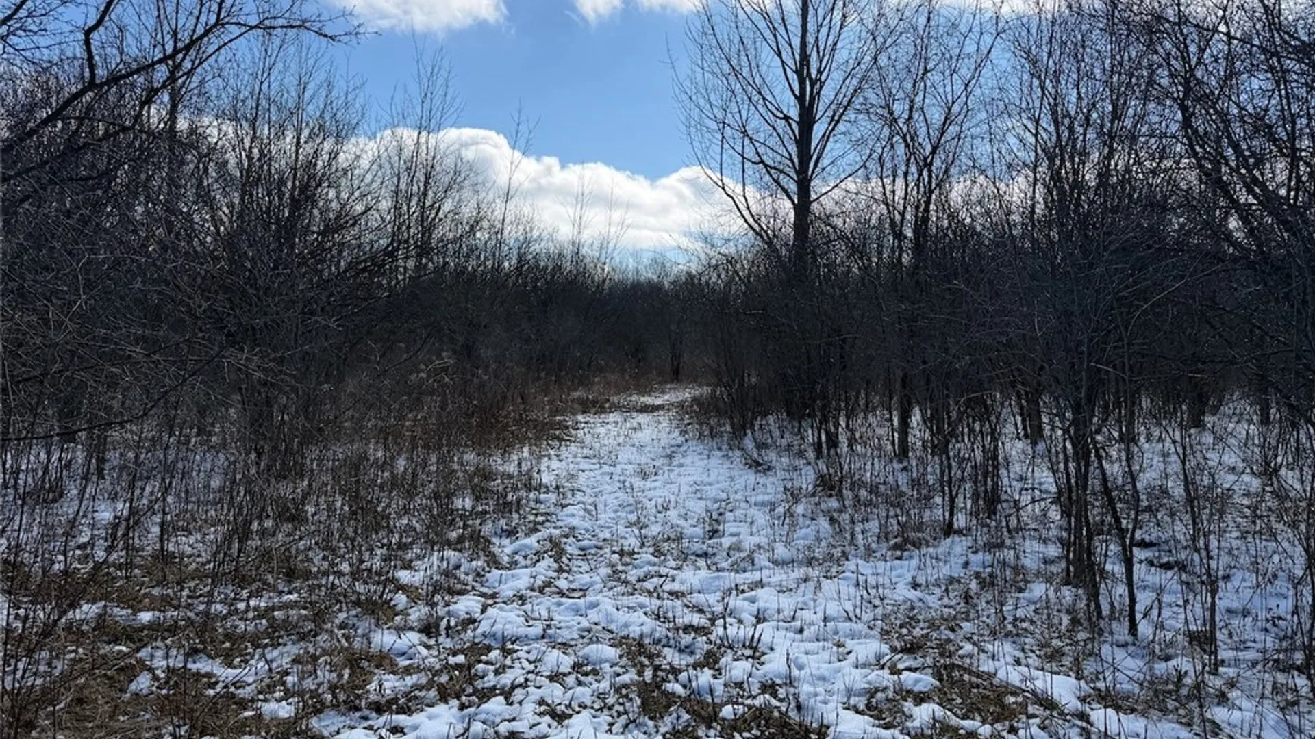 Property at State Route 14, Torrey, NY 14527 35