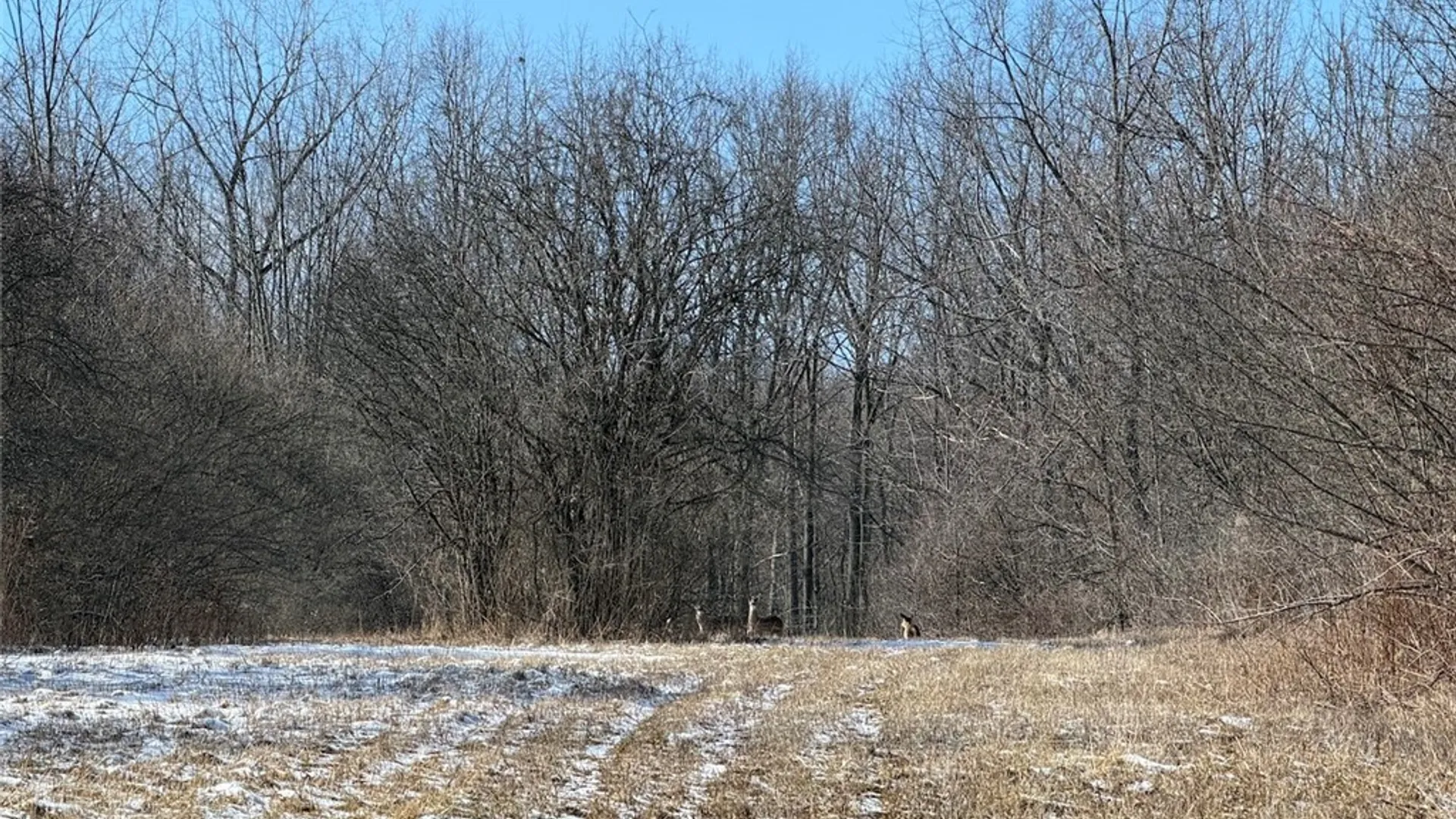 Property at State Route 14, Torrey, NY 14527 36