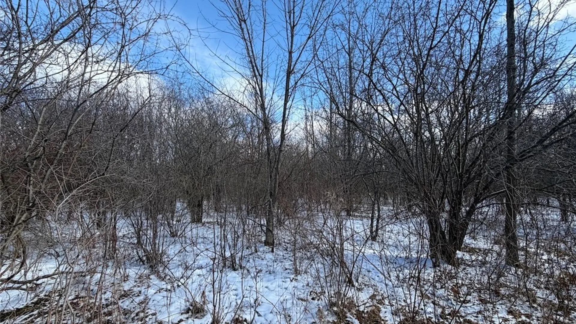 Property at State Route 14, Torrey, NY 14527 37