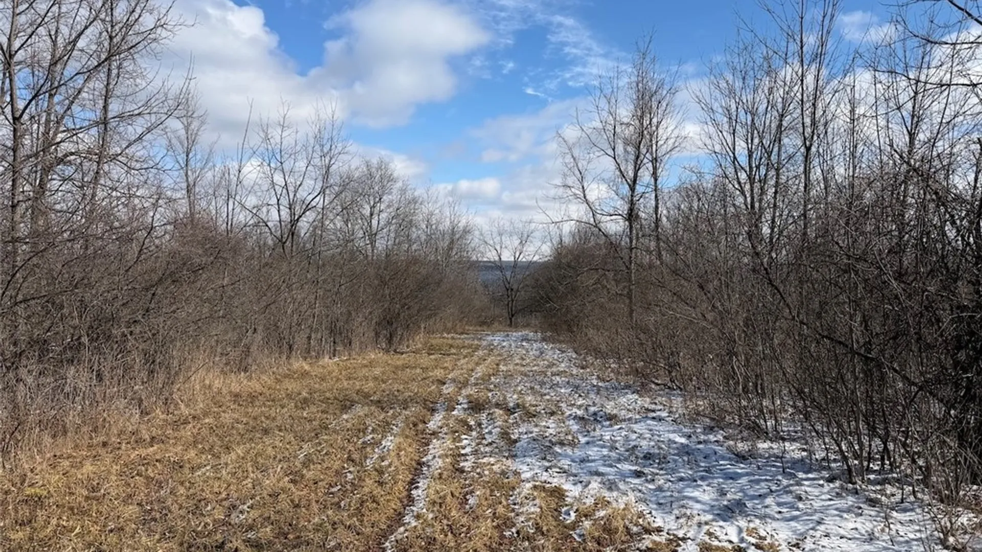 Property at State Route 14, Torrey, NY 14527 38