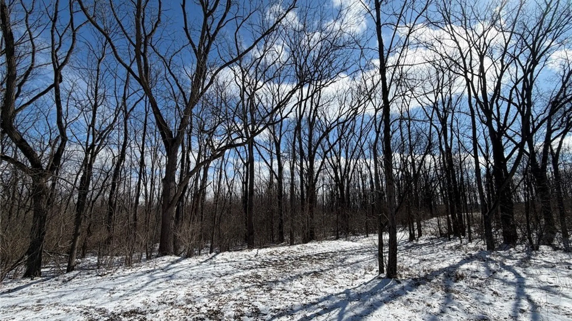 Property at State Route 14, Torrey, NY 14527 40