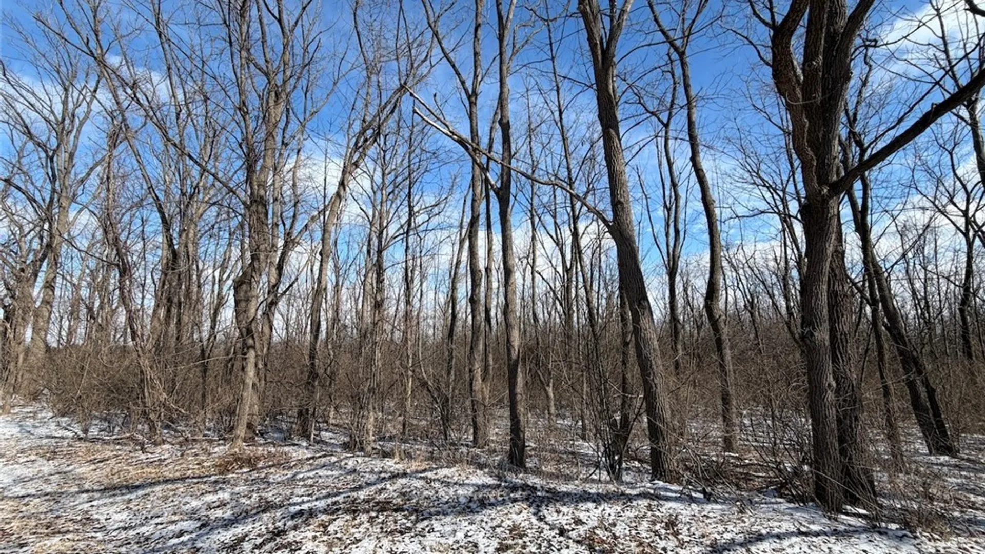 Property at State Route 14, Torrey, NY 14527 41