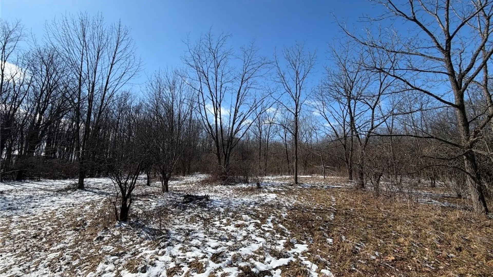 Property at State Route 14, Torrey, NY 14527 42