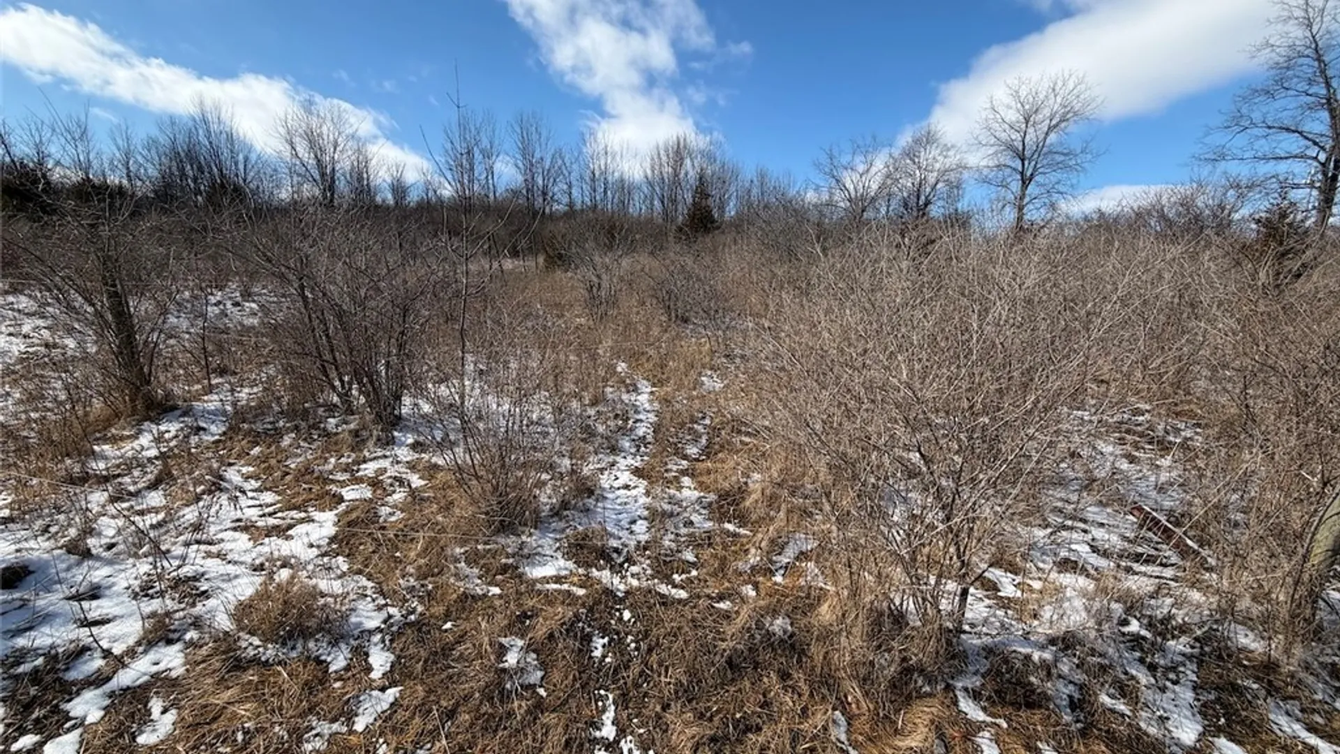 Property at State Route 14, Torrey, NY 14527 43