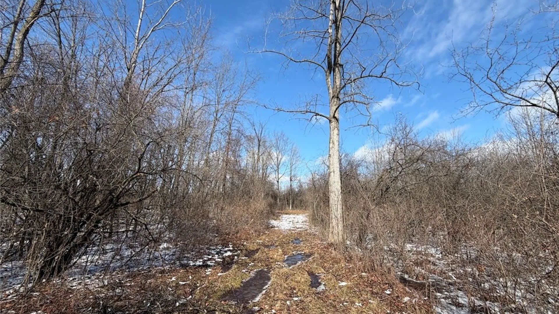 Property at State Route 14, Torrey, NY 14527 44