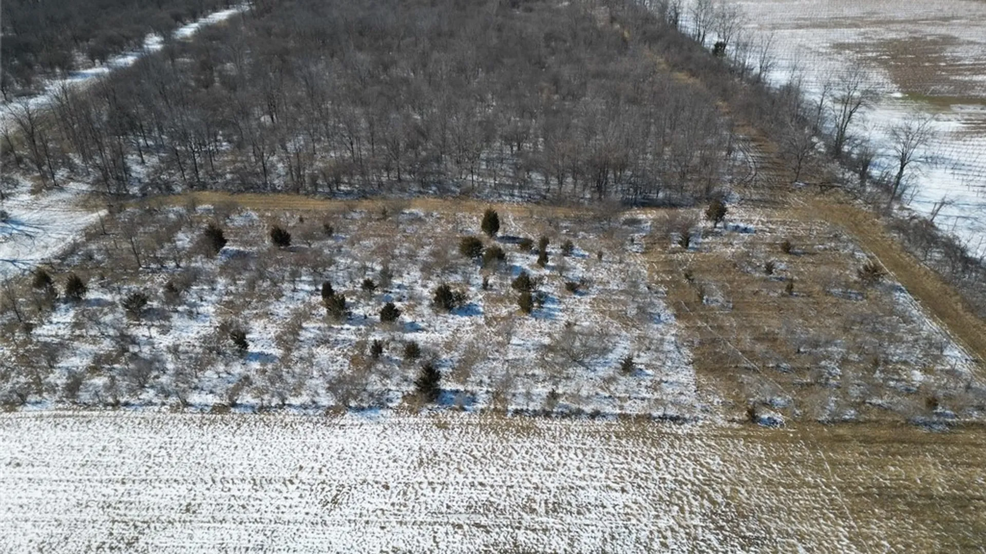 Property at State Route 14, Torrey, NY 14527 46