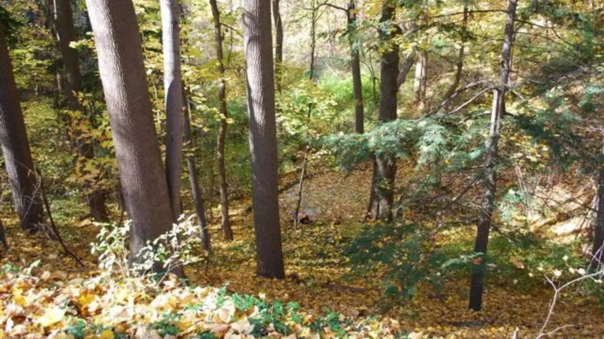 Property at 152 Highland Avenue, Ithaca City, NY 14850 10