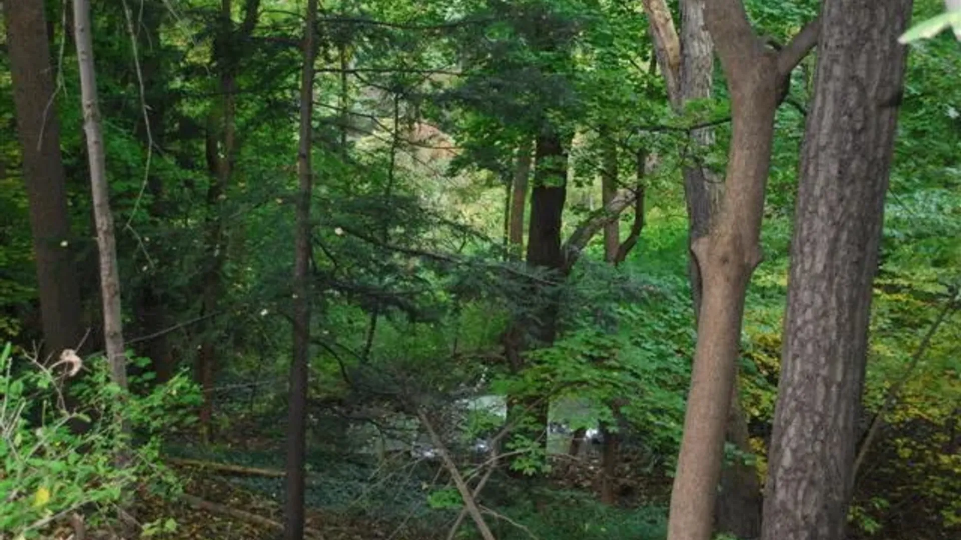 Property at 152 Highland Avenue, Ithaca City, NY 14850 11