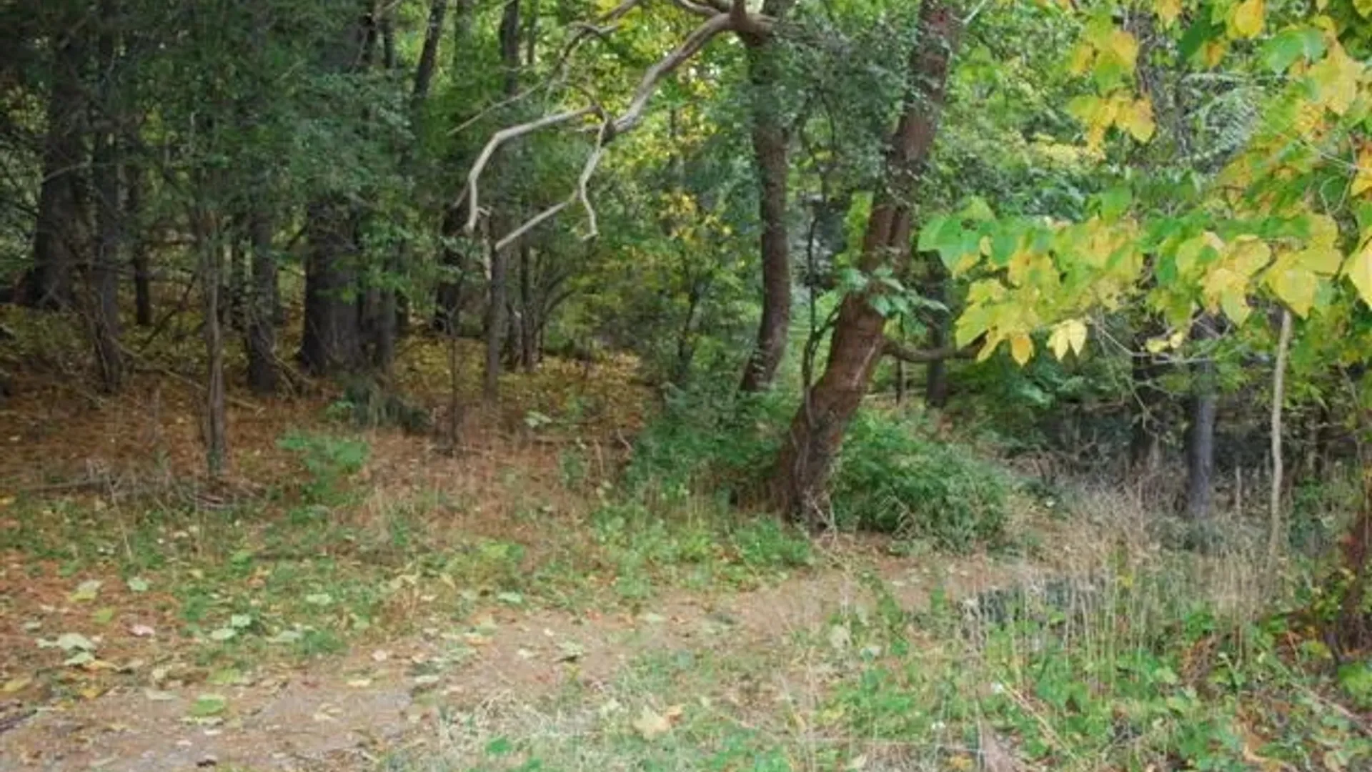 Property at 152 Highland Avenue, Ithaca City, NY 14850 6
