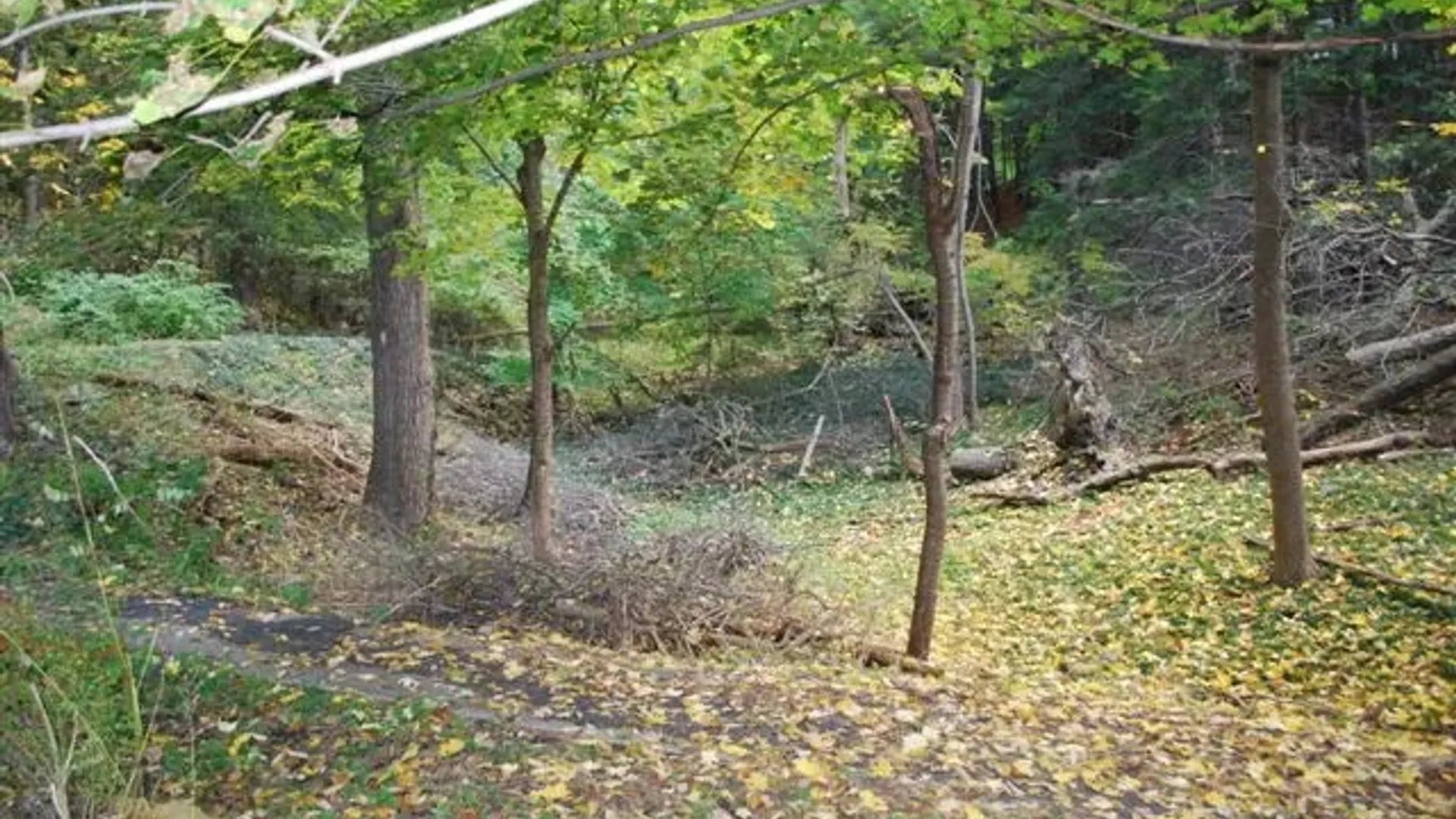 Property at 152 Highland Avenue, Ithaca City, NY 14850 8
