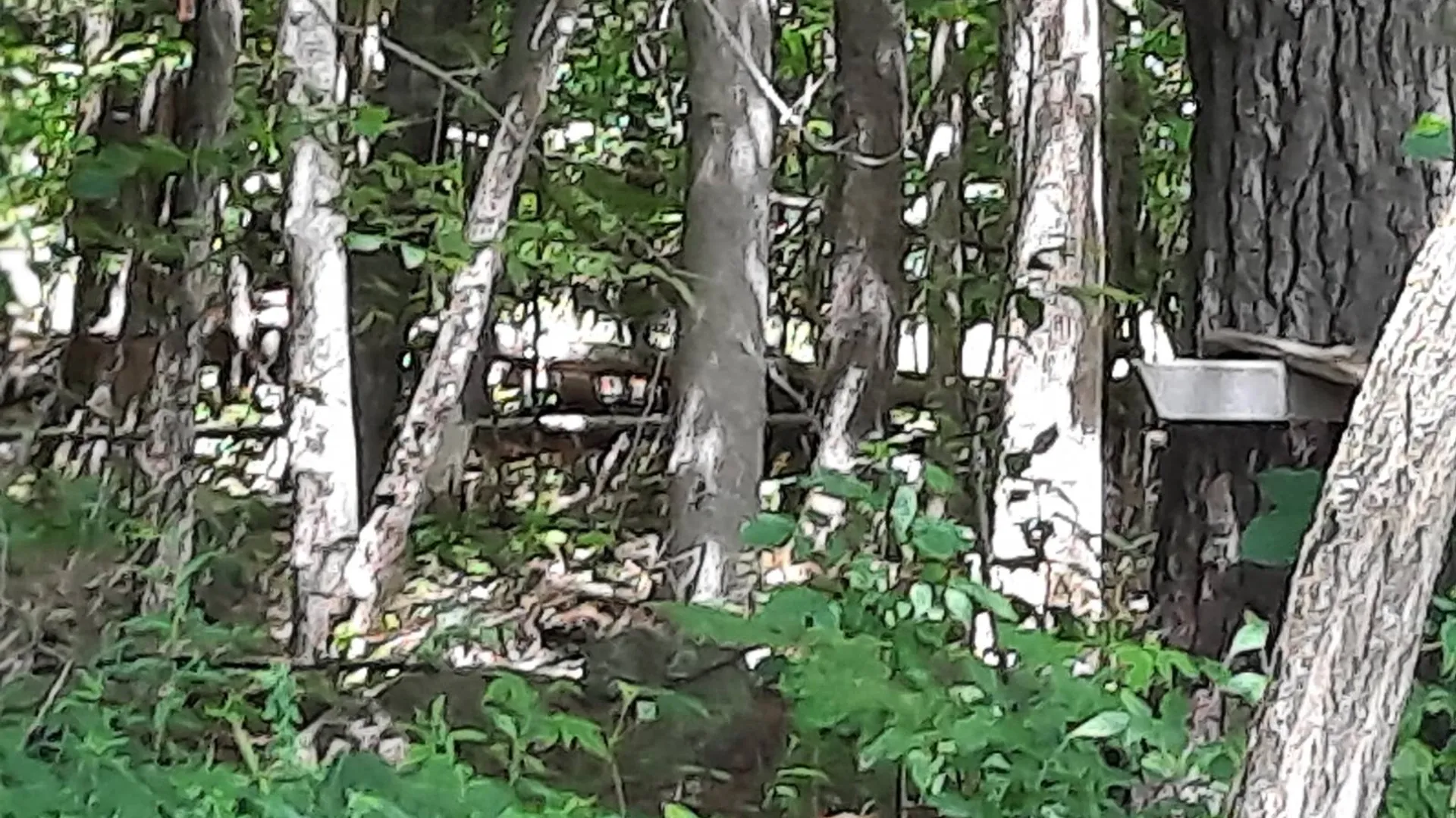 Property at 0 Gilmantown Rd, Wells, NY 12190 6