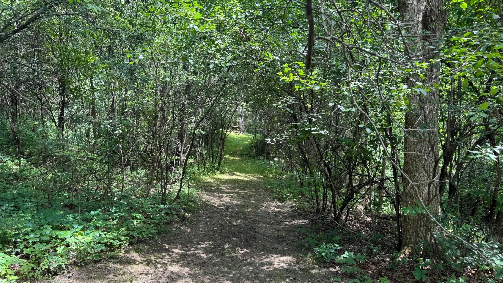 Property at 34 Gunpowder Dr, Athens, NY 12015 12